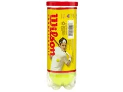 Wilson Championship Balls Extra Duty Tennis Balls Single Can